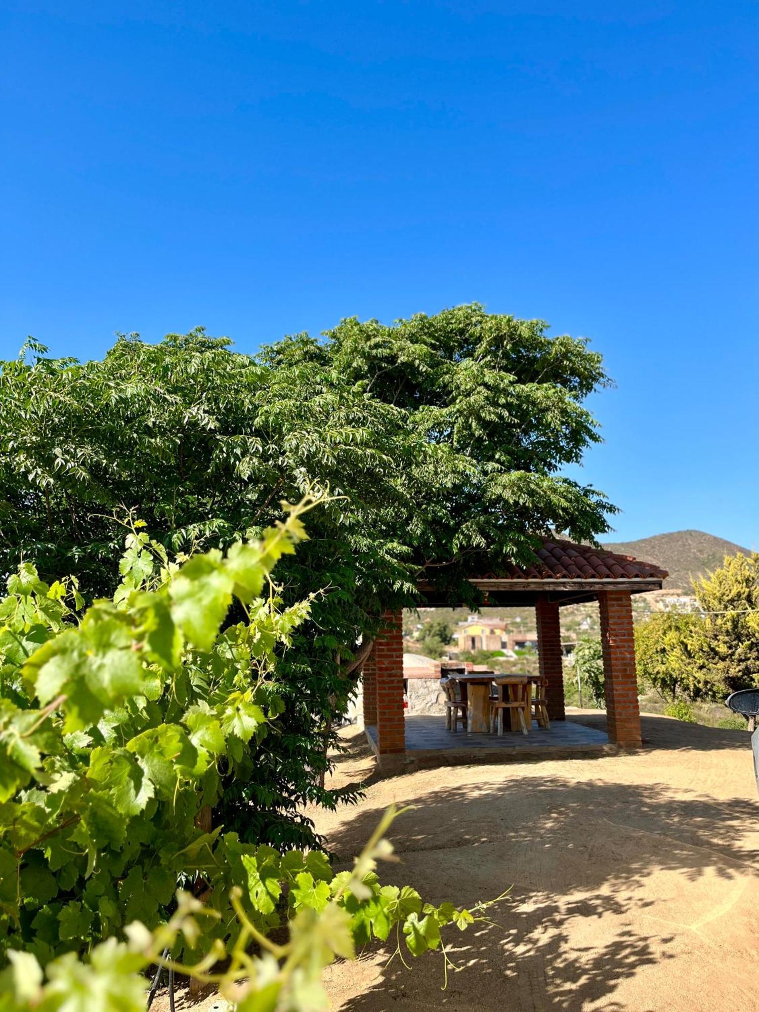 Cabanas Colibri Valle de Guadalupe Luaran gambar