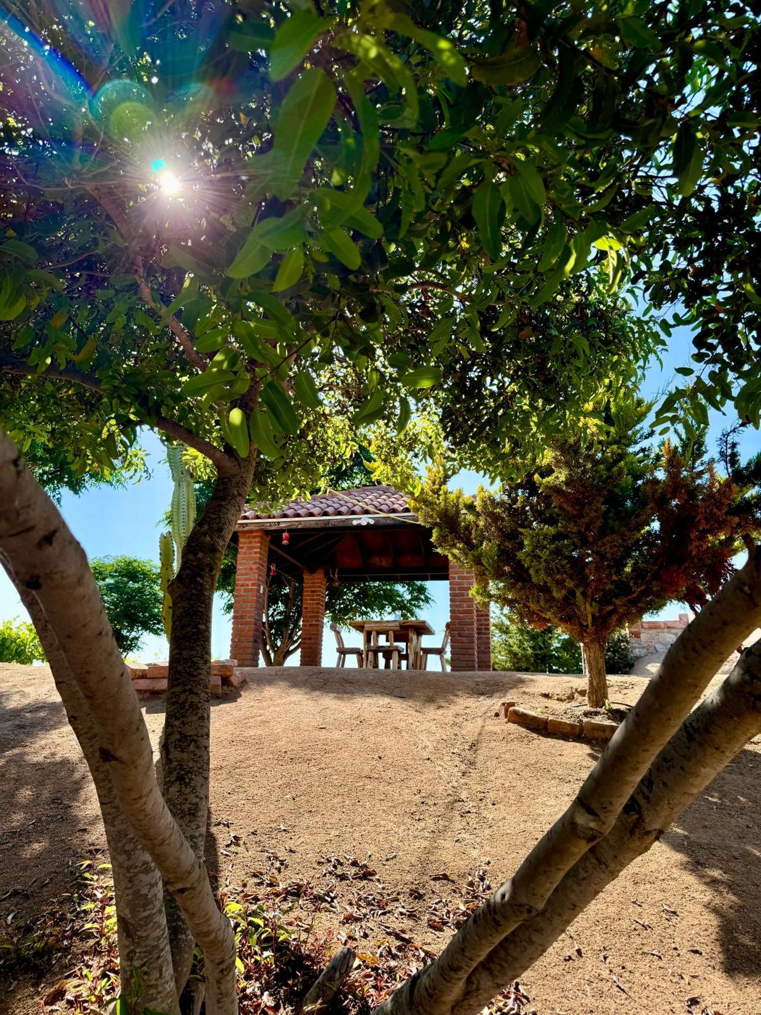 Cabanas Colibri Valle de Guadalupe Luaran gambar
